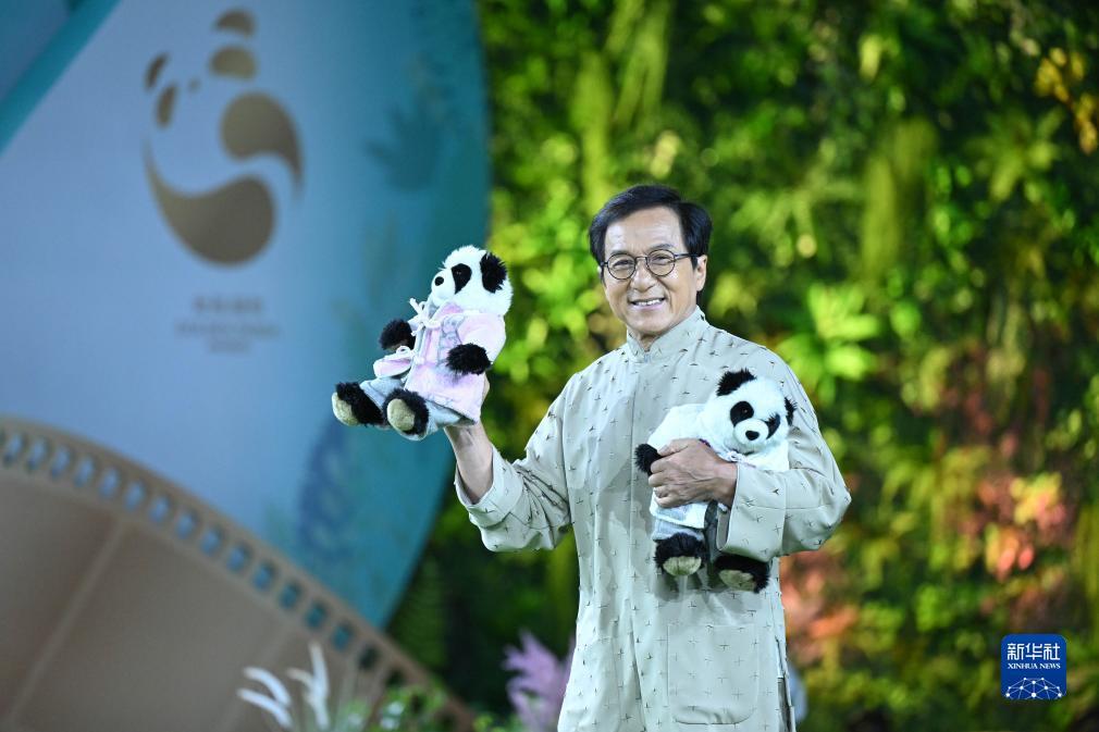 大红鹰彩票金管家
